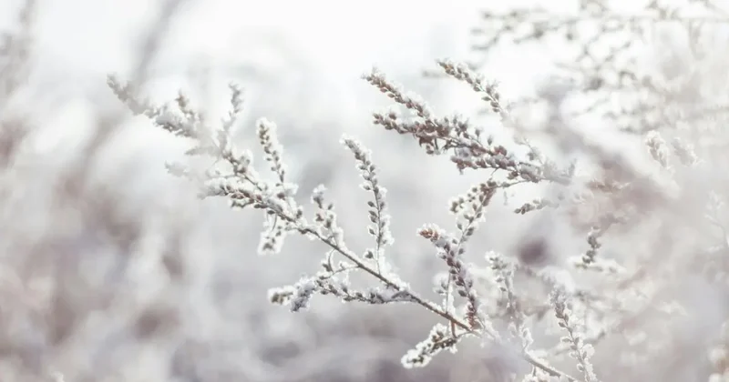 Штормовое предупреждение объявили почти по всей территории Казахстана 7 декабря