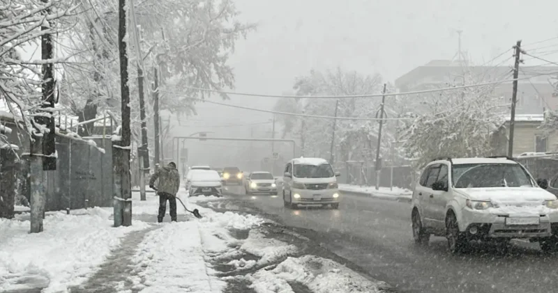 Қар мен үсік: Алматыда күн күрт суытады