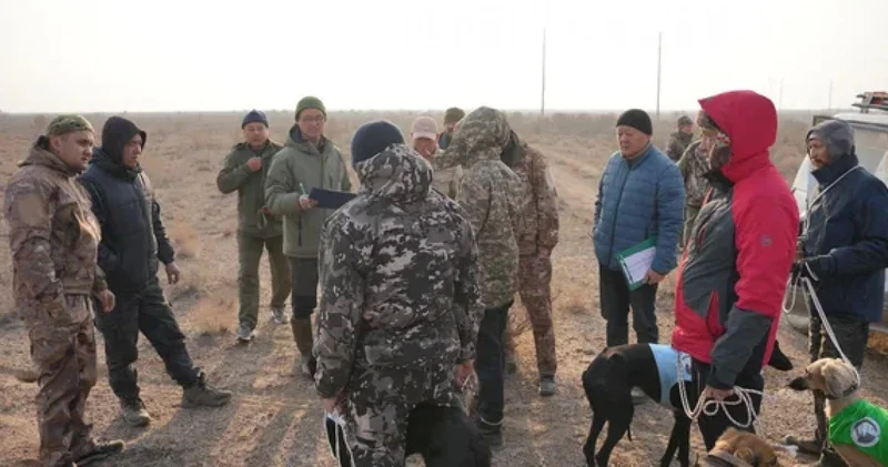 Қазақы тазы : Алматы облысындағы аңшылық сынағы өтті