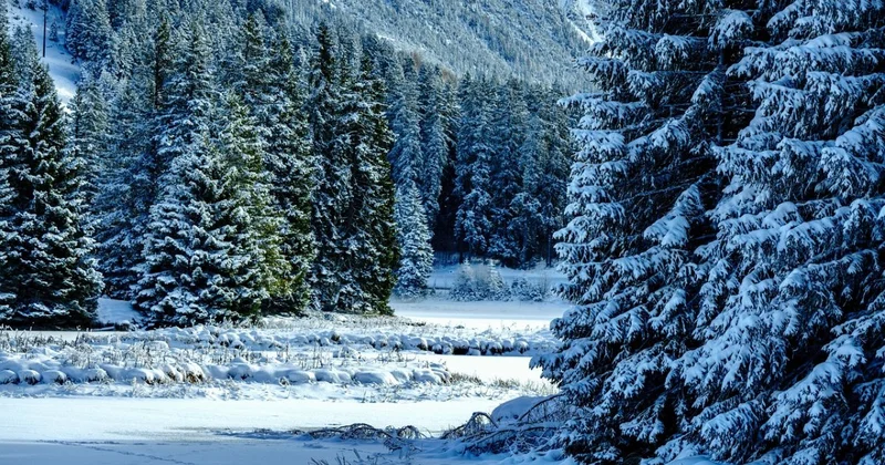 Жители Алматы получили предупреждение от ДЧС из за непогоды