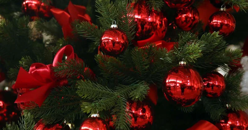 Рождественскую ель зажгли в Вифлееме