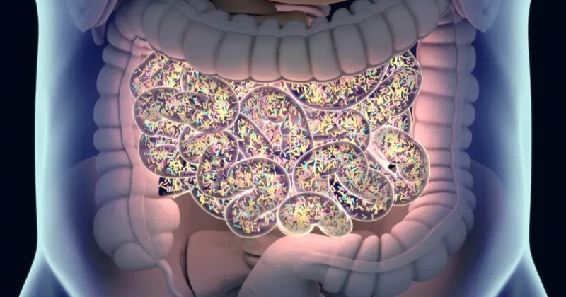 Синдром автопивоварни: учёные выяснили, почему организмы некоторых людей вырабатывают алкоголь