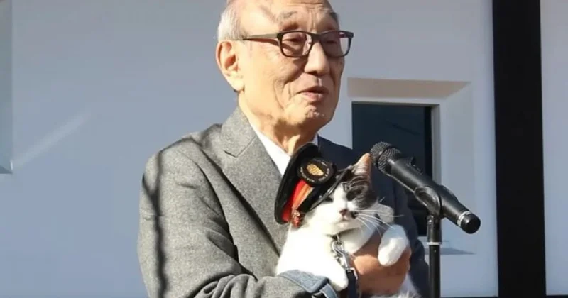 Кошку назначили начальником ж/д станции в Японии (ВИДЕО)