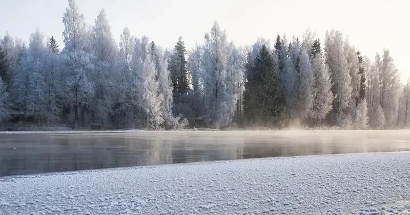 Браконьерлерге қарсы рейд төтенше жағдаймен аяқталды: инспекторлар мінген квадроцикл Жайық өзеніне батып кетті