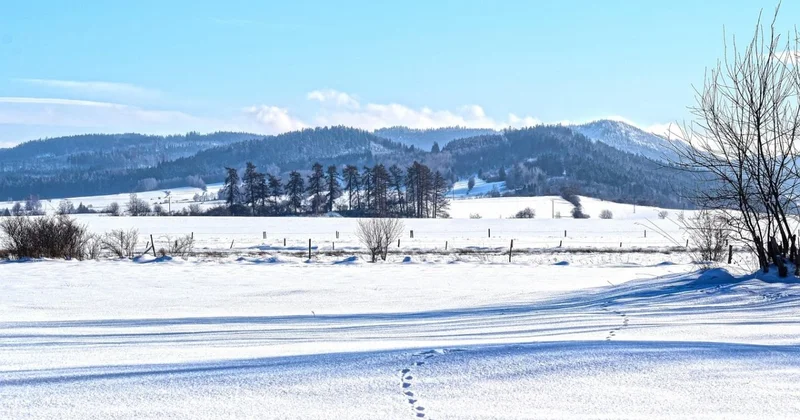 Пропавший мужчина найден в 15 км от зимовки в Улытау