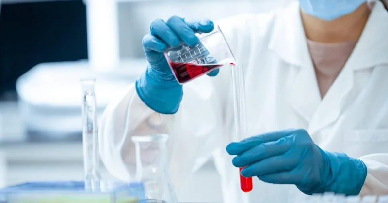 Батыс Қазақстан облысында шошқа тұмауы да тіркелді