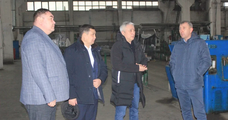Мәжіліс депутаттары Жетісу өңіріндегі кәсіпорындардың жұмысымен танысты