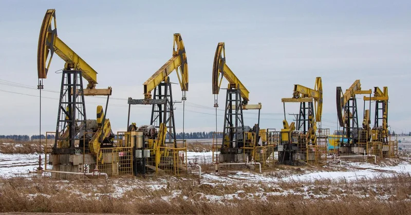 Страны ОПЕК+ приняли решение по объемам добыче нефти в Казахстане