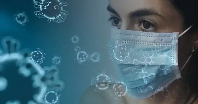 Смертельный вирус нипах пересёк границу Индии: первый случай в Бангладеш