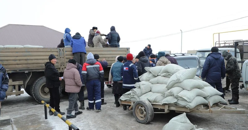 Атырауда мал қырылған ауданға Оралдан жем жеткізілді