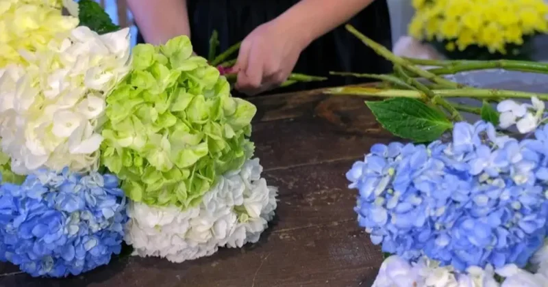 В Алматы в женский праздник борются со стихийной торговлей цветами