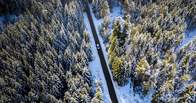 Прогноз погоды на 9 марта: туман и гололёд ожидаются в ряде регионов Казахстана