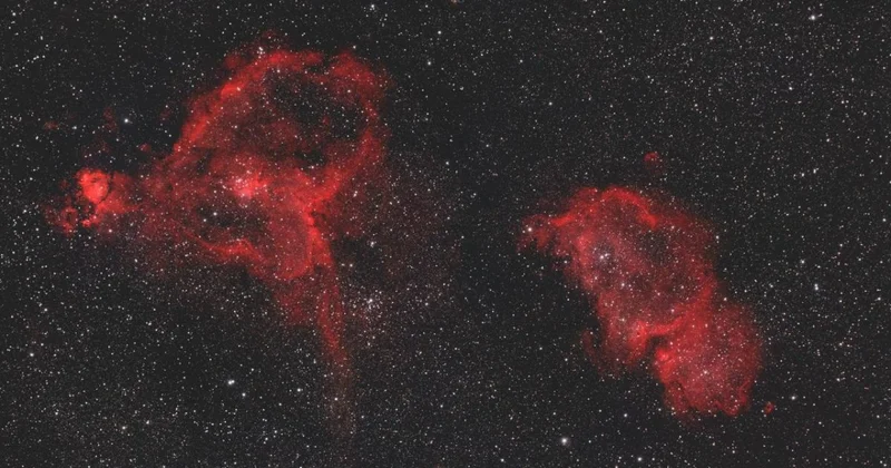 Роскосмос показал космические букеты к 8 Марта