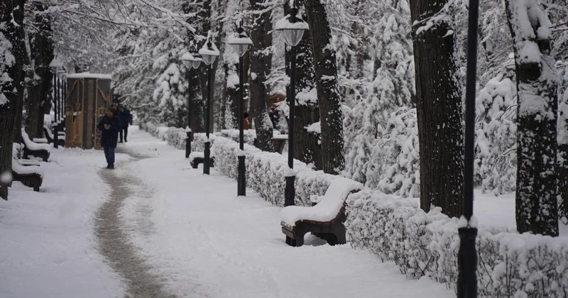 Снег пообещали в Астане 8 марта
