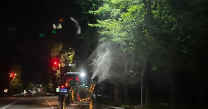 Обработку деревьев от вредителей начали в Алматы