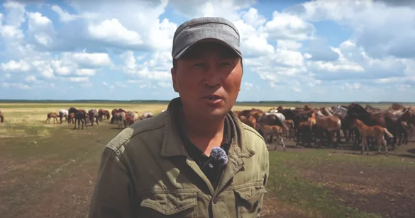 Жапандағы жалғыз үйдің тірегі