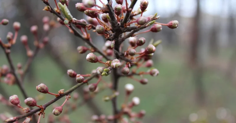 Дождь и усиление ветра: синоптики предупредили о непогоде в Астане