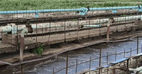 Сливали отходы: в сбросе стоков в реку Урал уличили российские предприятия