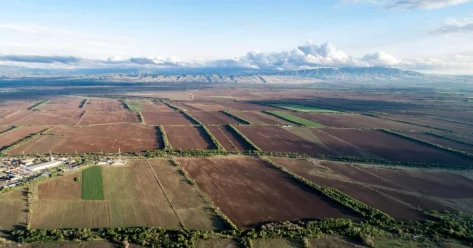 Неиспользуемые земли возвращены государству в Костанайской области