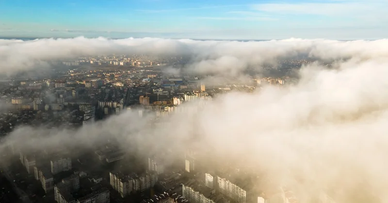 ИИ начал отслеживать уровень аллергенов в воздухе Алматы