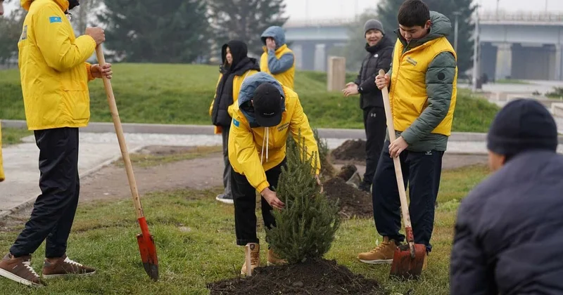 И даже пень в весенний день…