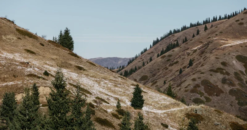 Алматыда 17 миллиард теңгенің жері мемлекетке қайтарылды