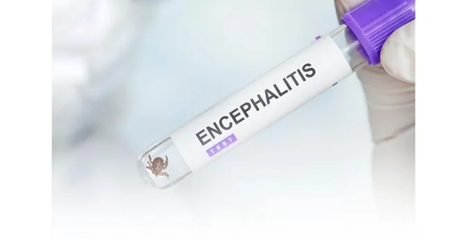 Кене энцефалитінен қалай қорғану керек?