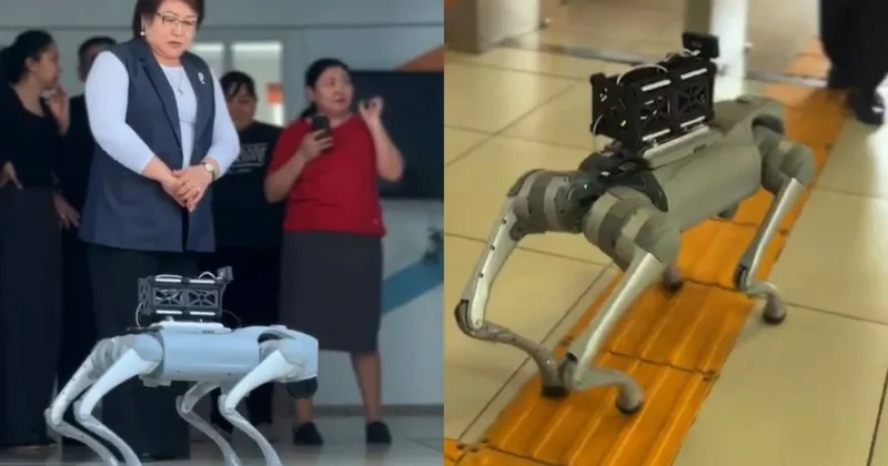 Роботы собаки будут следить за школьниками в Казахстане