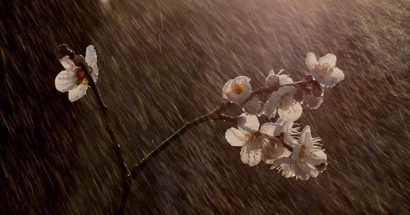 Дожди, снег и грозы: где и какую погоду прогнозируют в Казахстане с 9 по 11 апреля