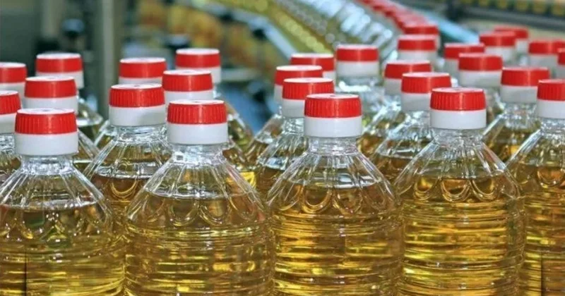 Жылына 450 мың тонна: СҚО да өсімдік майын өндіретін зауыт салынады