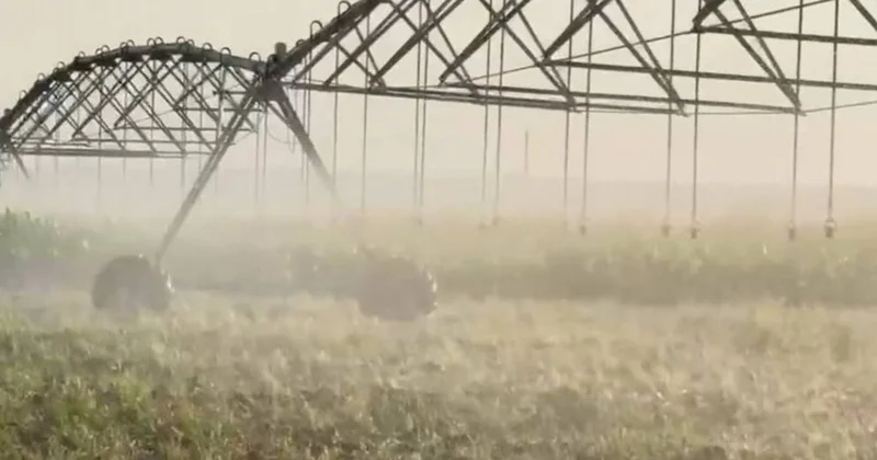 Өңірлік экологиялық саммитте су үнемдеу технологиялары талқыланады