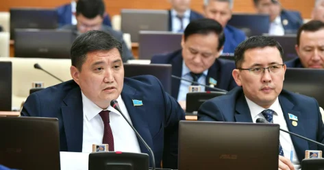 Закрепить право казахстанцев подавать иски к психологам предлагает депутат