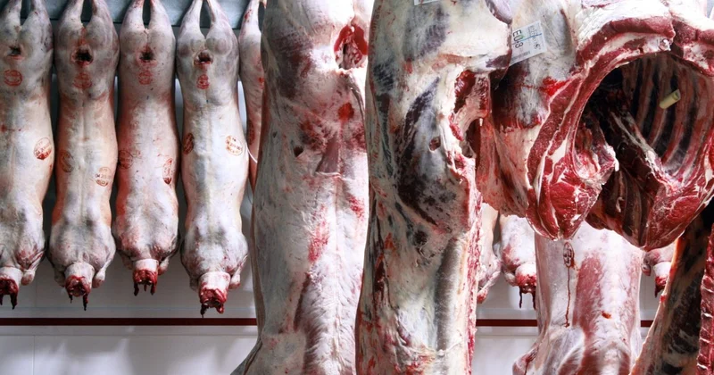 Незаконный оборот мясной продукции выявили в Астане