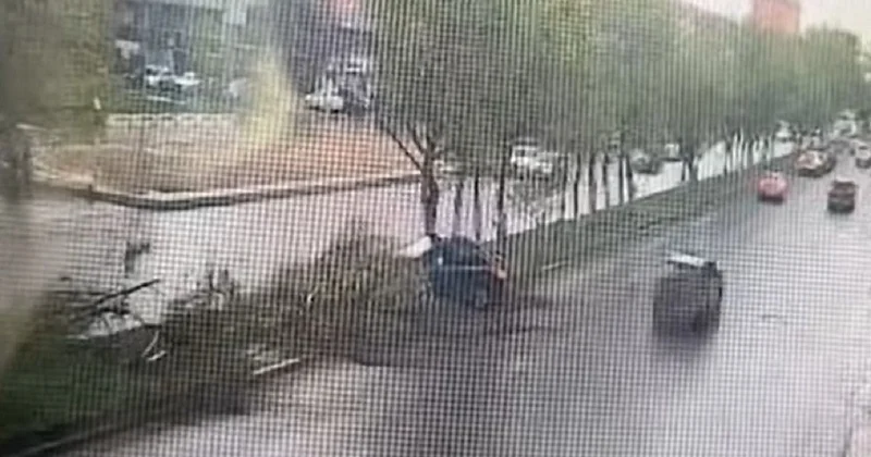 Автомобиль вылетел на разделительную полосу и снес деревья в центре Актобе (видео)