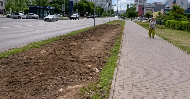 В центре Астаны исчезла целая аллея деревьев