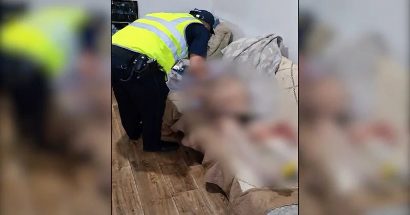 Заступился за маму : пасынка задержали по подозрению в убийстве отчима в Алматы