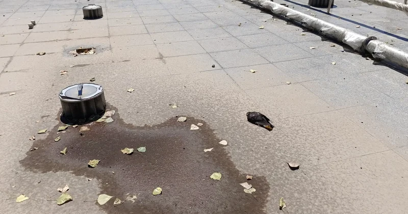 Фонтаны Алматы не дождались лета: почему городские объекты снова не работают