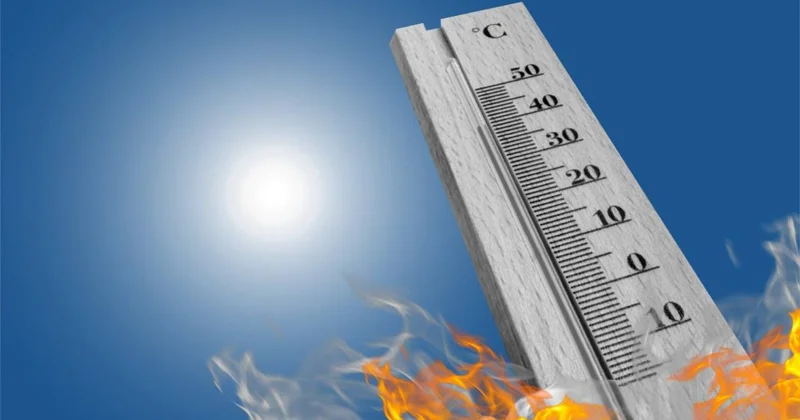 Ни капли дождя: Шымкент накроет 40 градусная жара