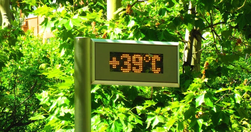 Жара до +39 градусов ожидается в одном из мегаполисов Казахстана