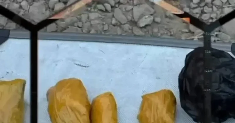 Канал поставки наркотиков на 3,1 млрд тенге пресекли в Казахстане