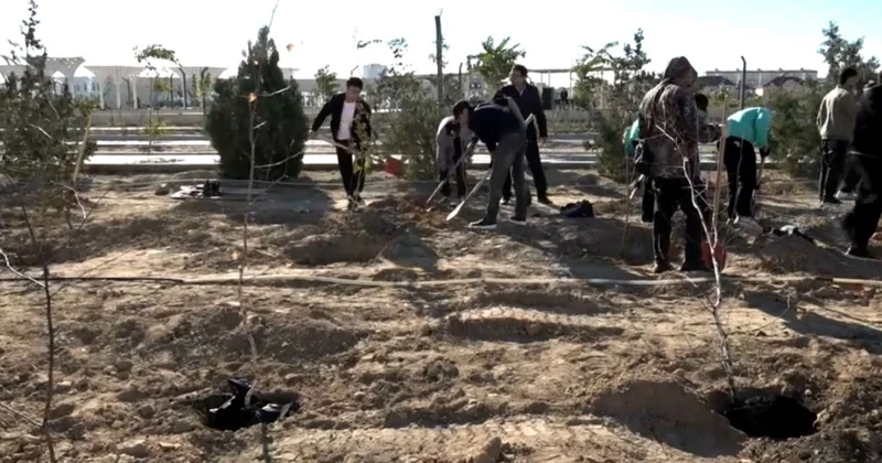 Ақтауда жастар саябаққа тал екті