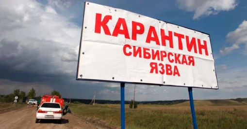 В Алматинской области прокомментировали ситуацию по сибирской язве в селе Байсерке