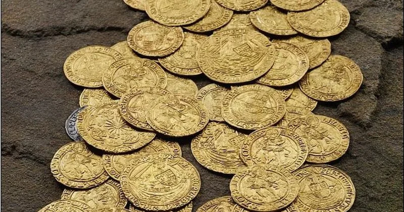 Супруги нашли клад в собственном саду во время прополки