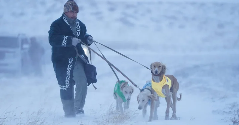 Казахские тазы снова доказали силу и выносливость (ВИДЕО)