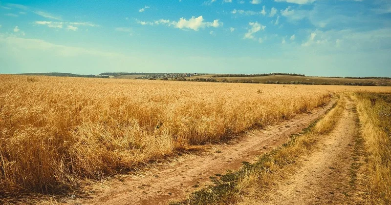 Сотрудников службы безопасности заподозрили в преступлении в Акмолинской области