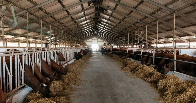 В Атырауской области объем производства сельскохозяйственной продукции достиг 116,8 млрд тенге