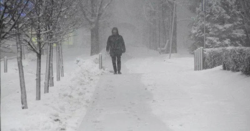 Метели и снег прогноз погоды на 8 декабря