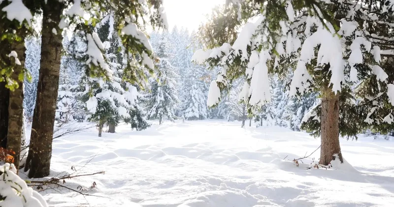 Коммунальщики перешли на усиленный режим работы перед снегопадом в Алматы