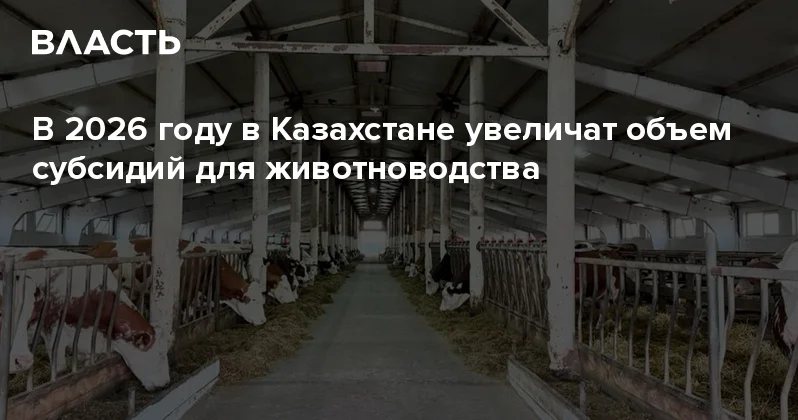 В 2026 году в Казахстане увеличат объем субсидий для животноводства Аналитический интернет журнал Власть