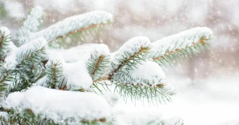 Снежная погода ожидается на востоке и центральных областях Казахстана